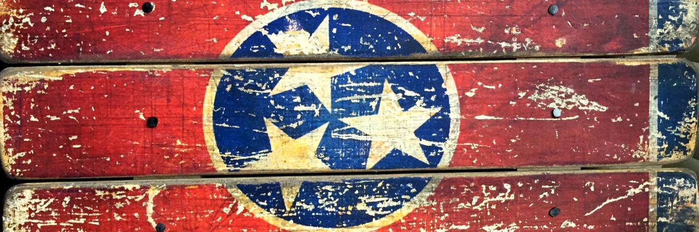 theknoxvol's profile banner image