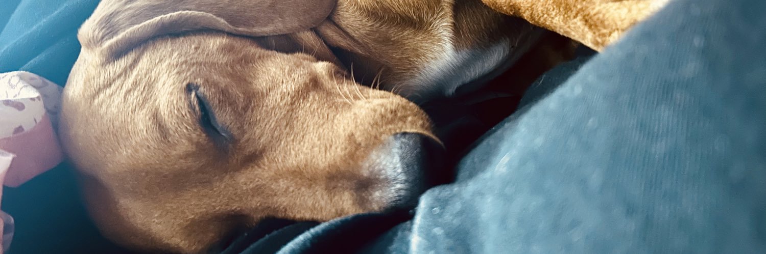 josyrodri4's profile banner image