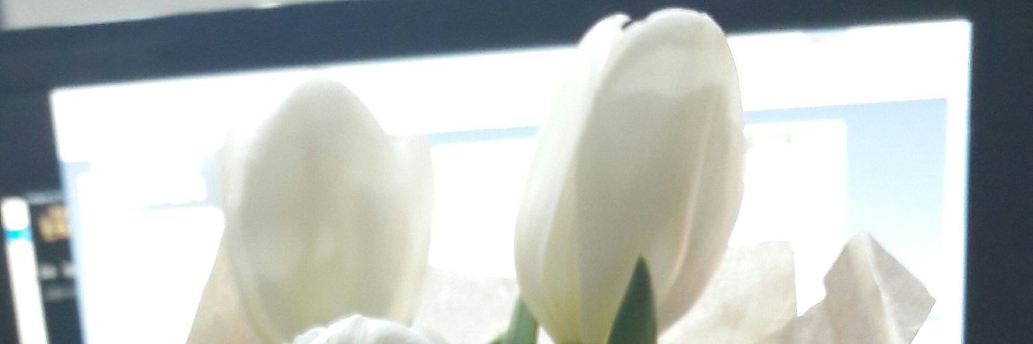 Inven_Haao banner