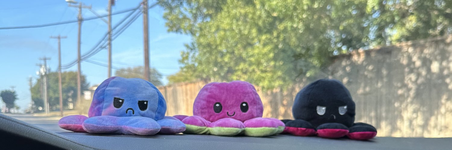 nadiasoinski's profile banner image