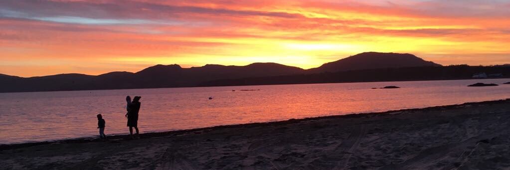 Dr. Mark Partington banner