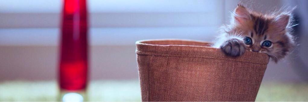 Dosha_ba's profile banner image