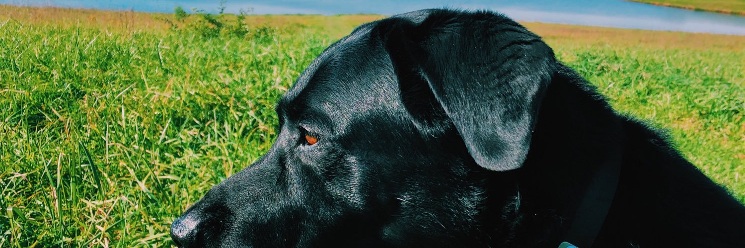 Bradi Zumbrum banner