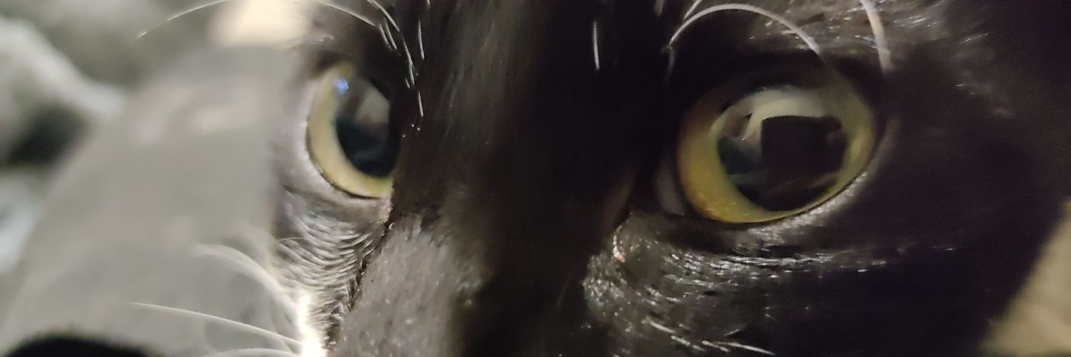 SolorzanoBryams's profile banner image