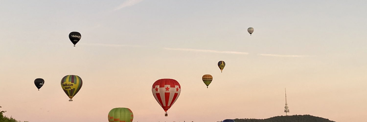 Brittney Levinson banner