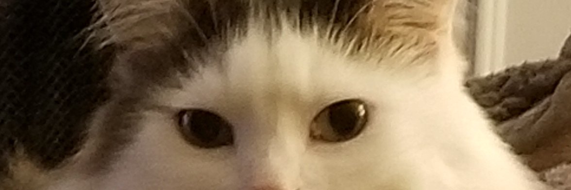 rfsull's profile banner image