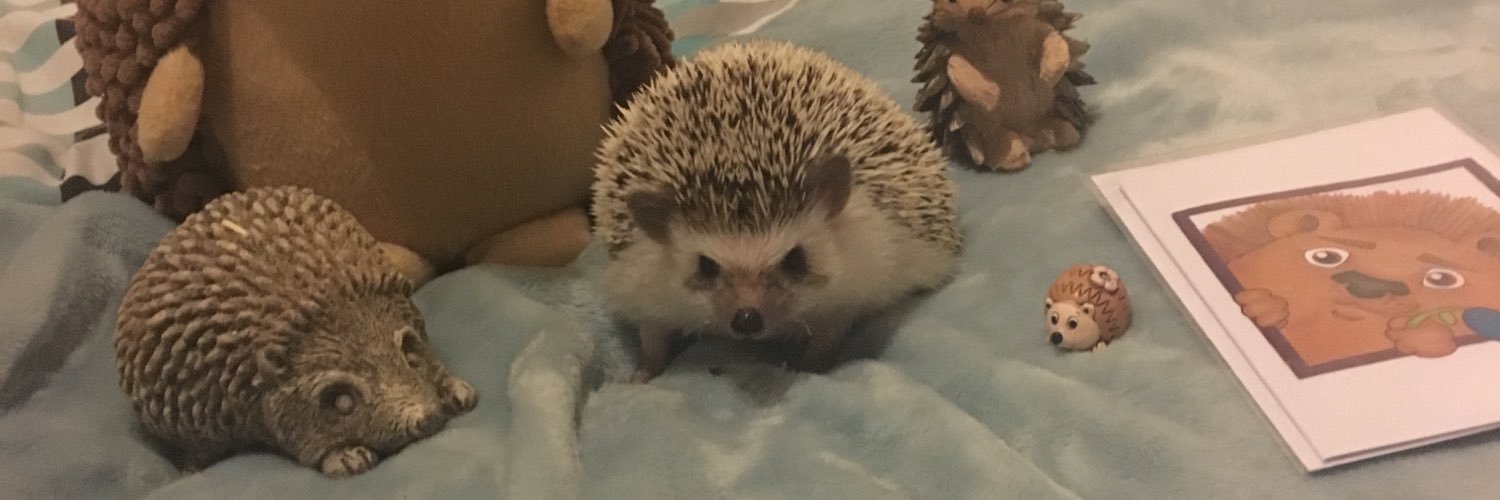 LizzieeButcher's profile banner image