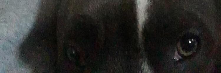 KyleJackson4's profile banner image