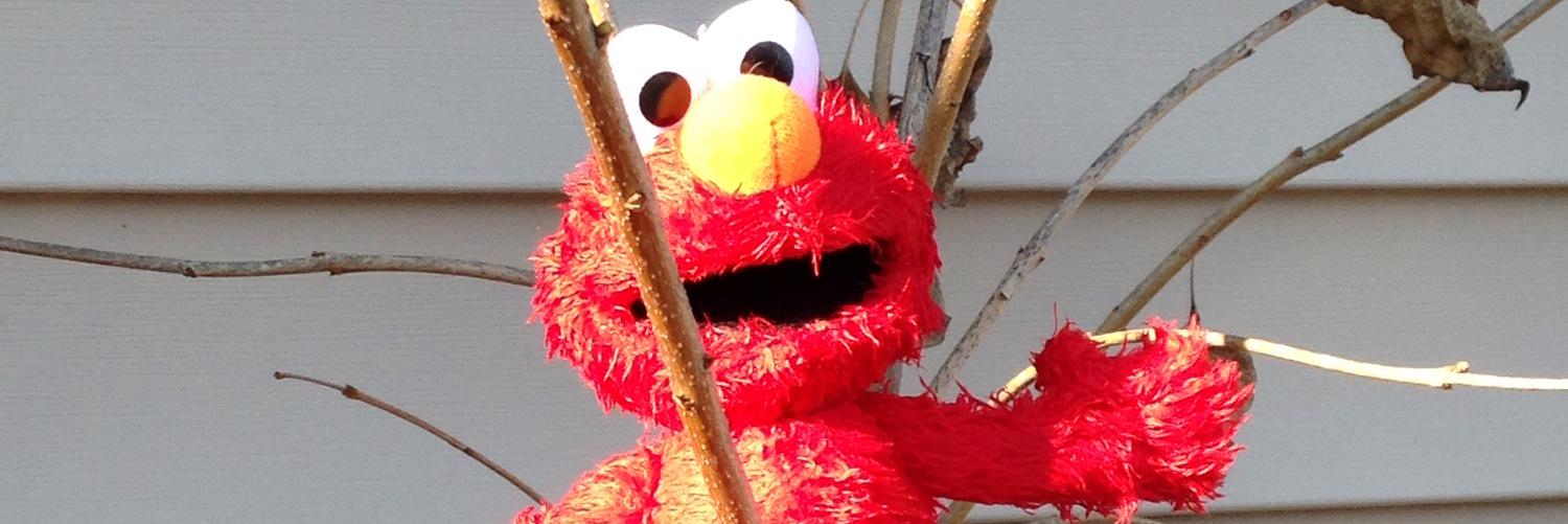 nextfoolmarter's profile banner image