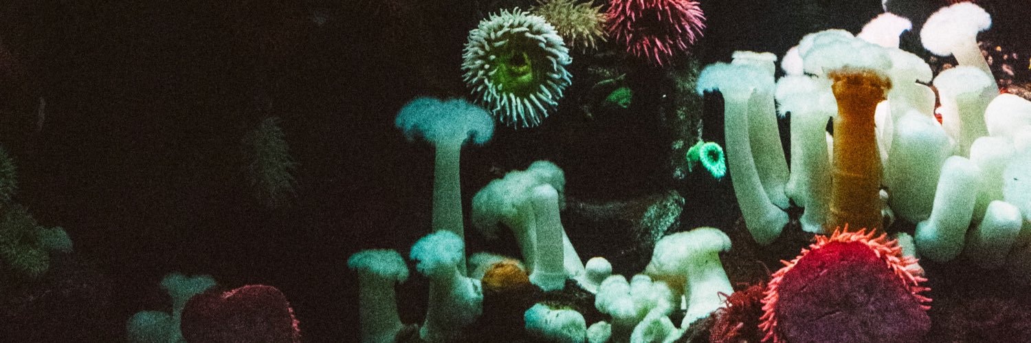 palankkk's profile banner image