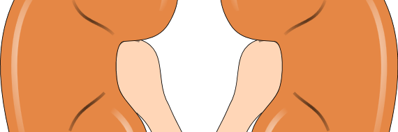 southernkidney's profile banner image