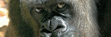 MyloWilliams's profile banner image