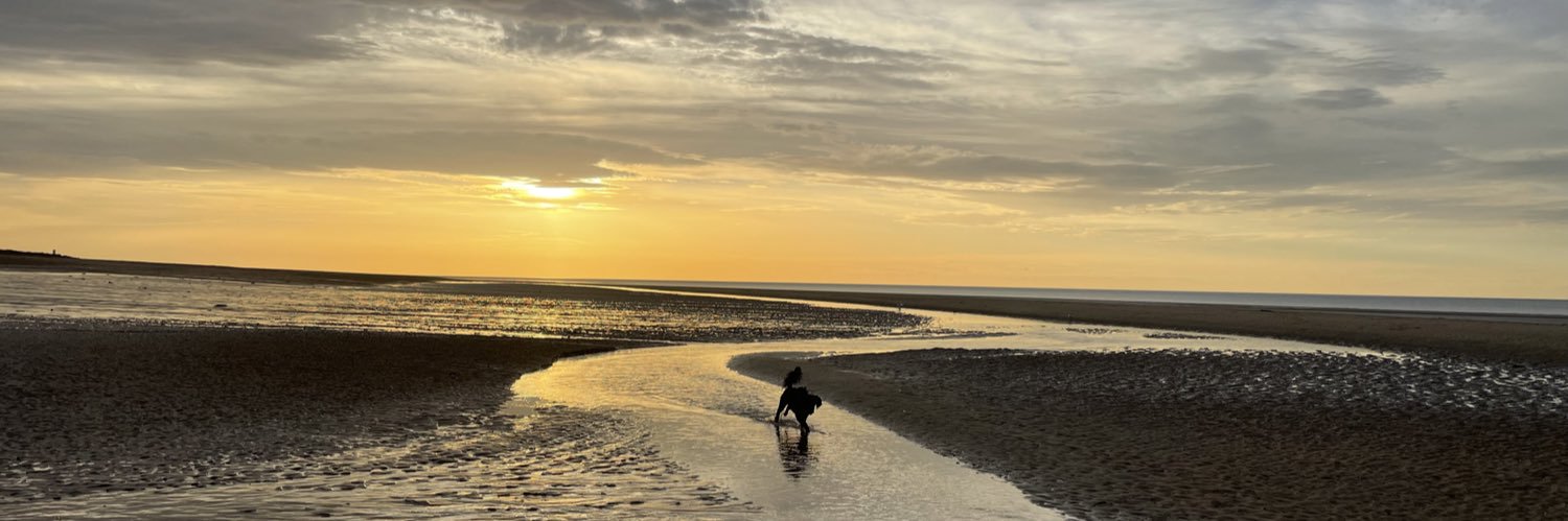 RachelSinfield banner