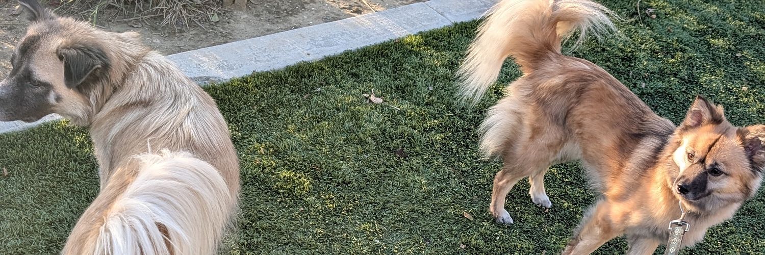 Craig Doan 🟧 banner