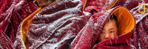 LVGIF Profile Banner