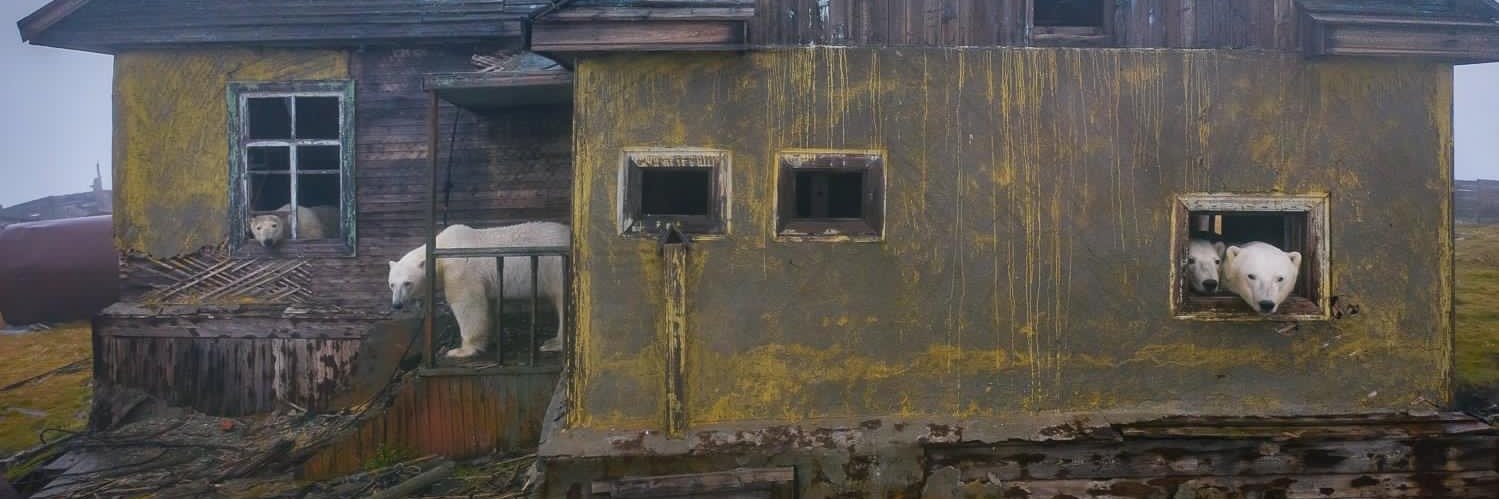 Antyada's profile banner image
