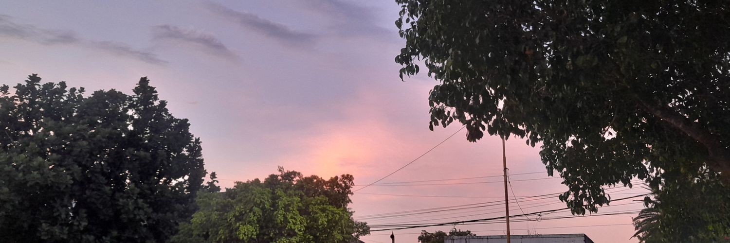 paz_florr's profile banner image