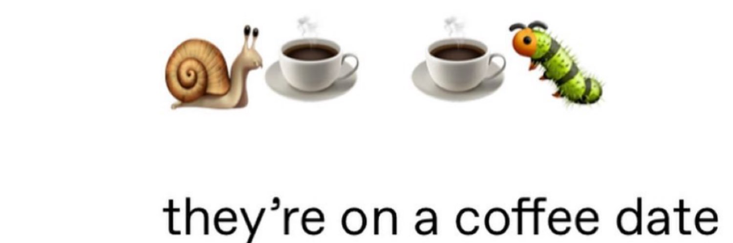 tulipe💌 banner