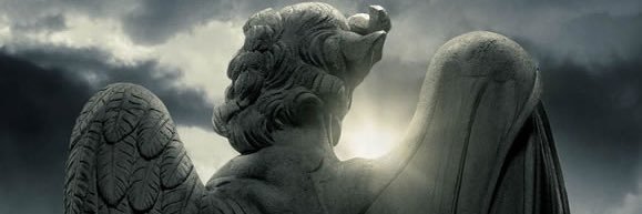 7day7heart's profile banner image