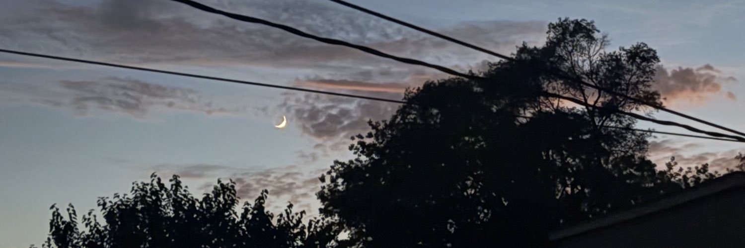 leeseeahhhh's profile banner image
