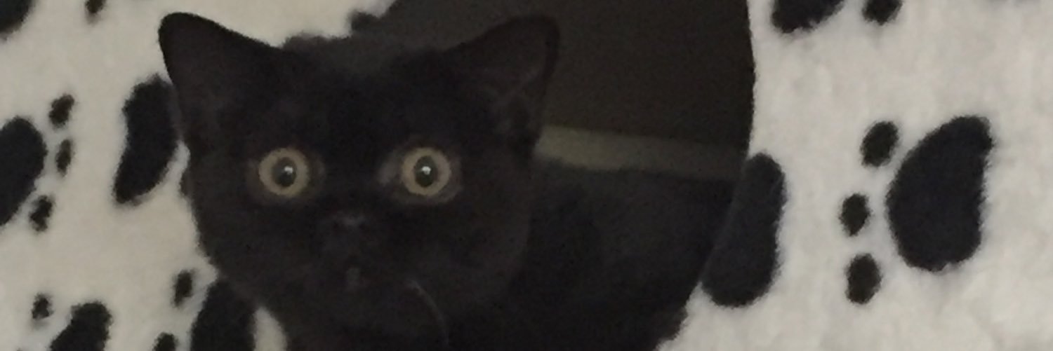lazzer__'s profile banner image