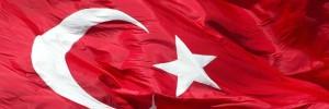 1453_Nevzat's profile banner image