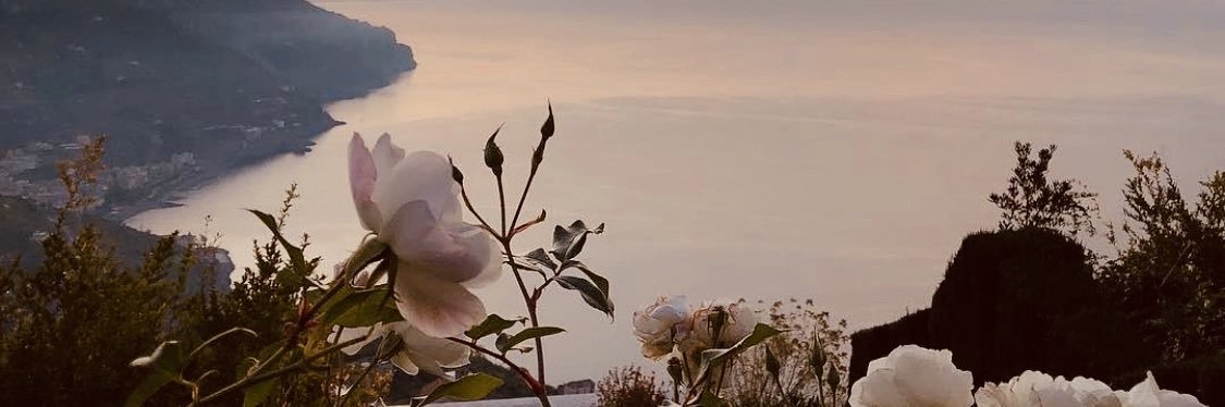 s_abdulle's profile banner image