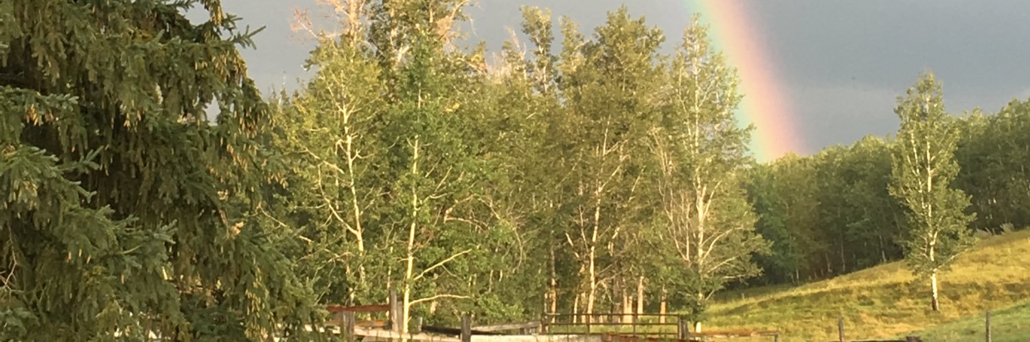 SpringHarvestGT's profile banner image