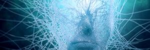 Sophie_Analytic's profile banner image