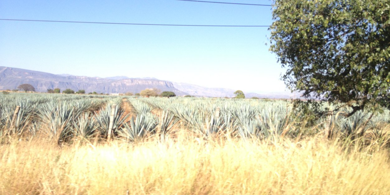 HSOTO10's profile banner image
