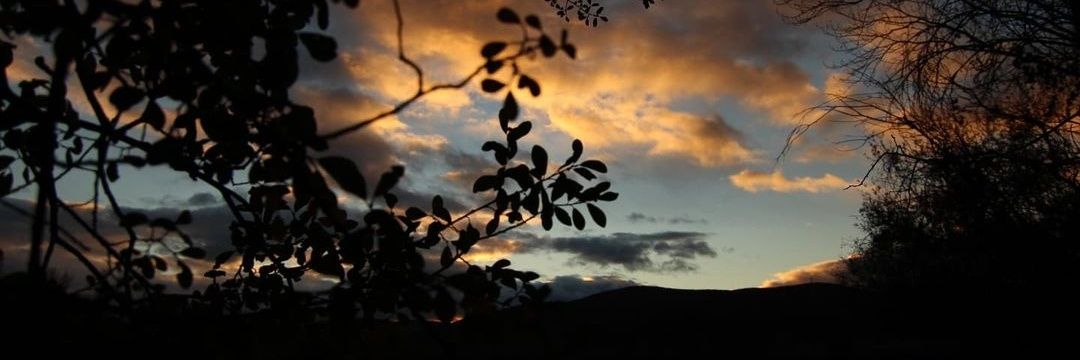 clocks9's profile banner image