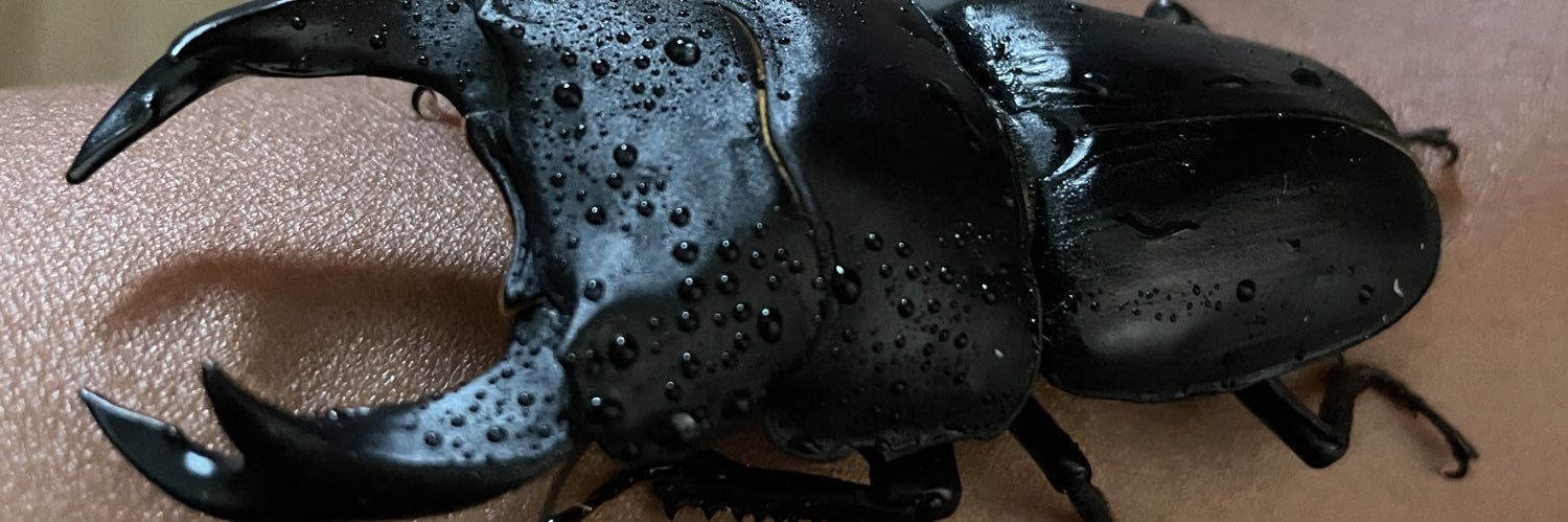 kitau03's profile banner image