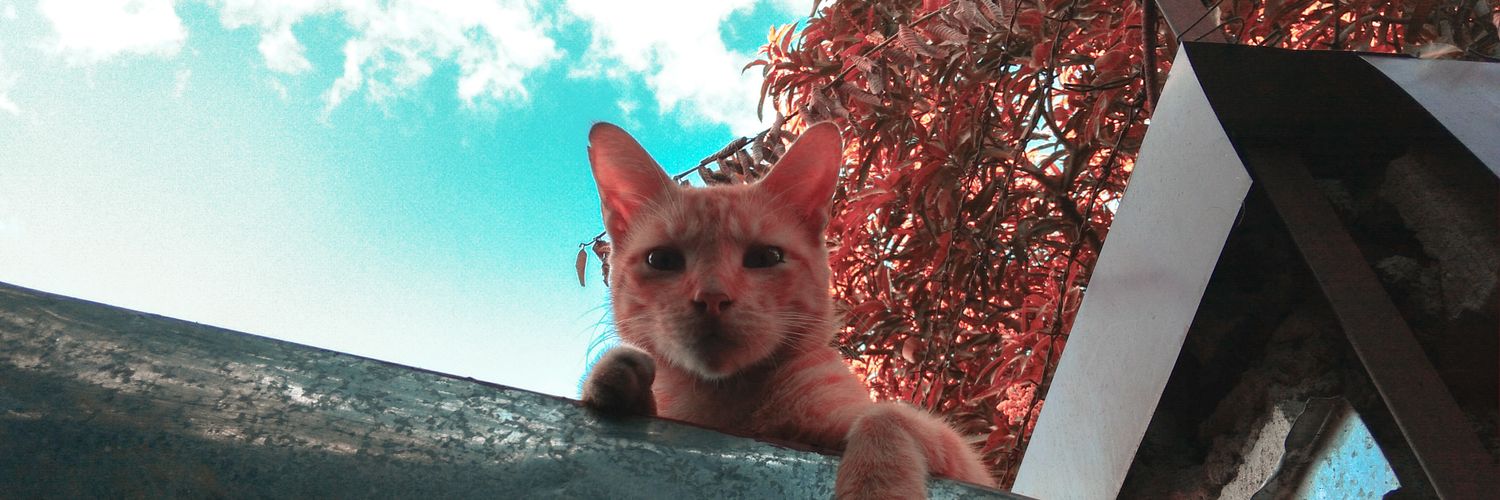 ianstrongest's profile banner image