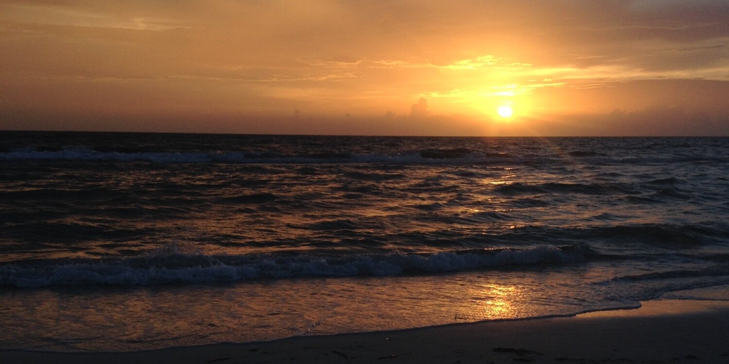 _sheabaybay's profile banner image