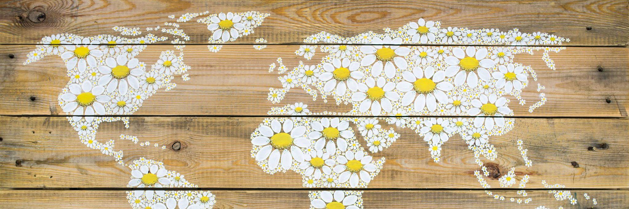 onceuponadandy's profile banner image