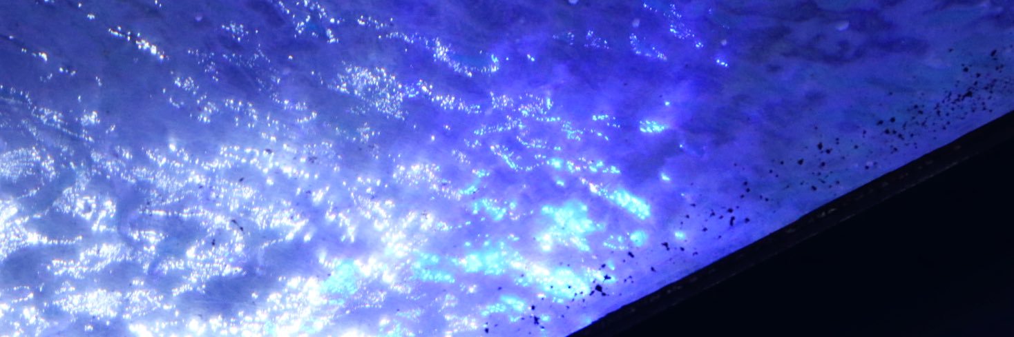 醤油かけごはん banner