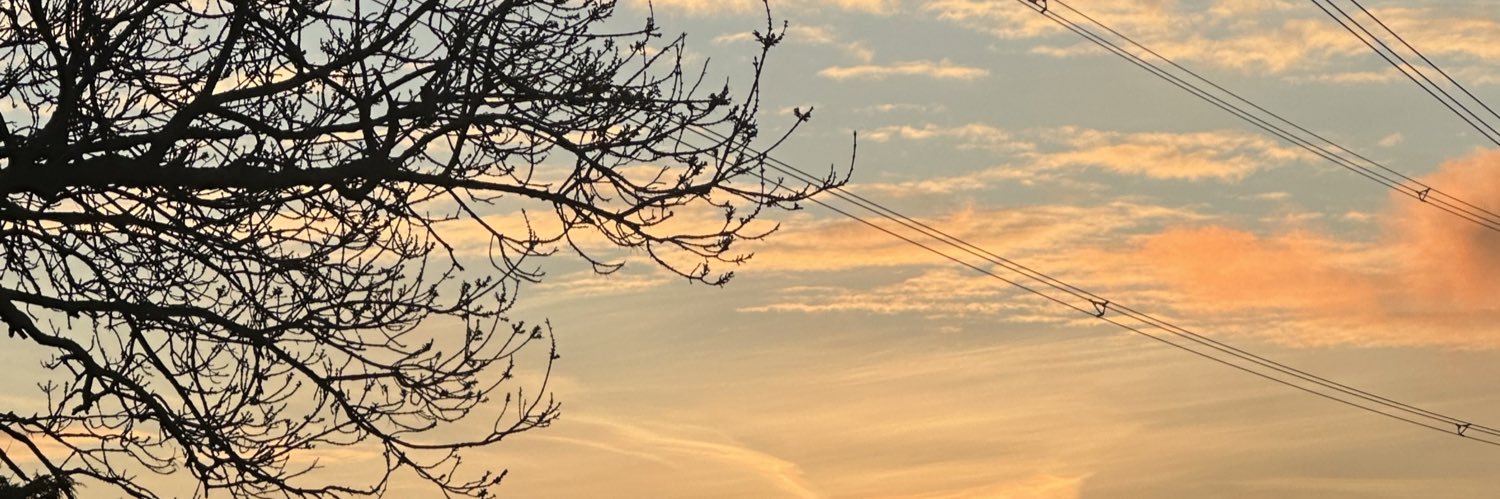 elifyavuuz's profile banner image