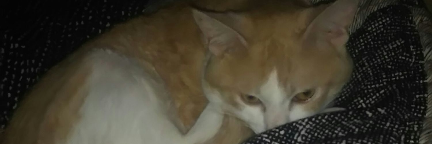 KainSelshius's profile banner image