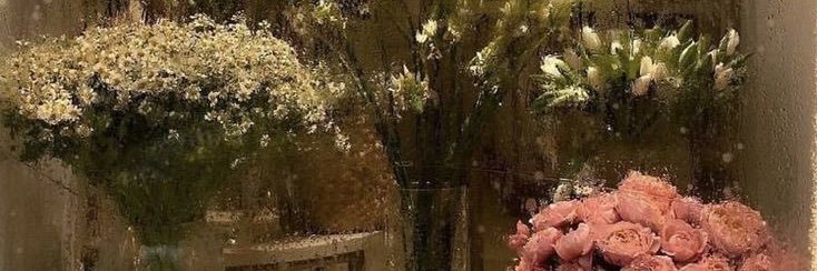 starccrossed's profile banner image