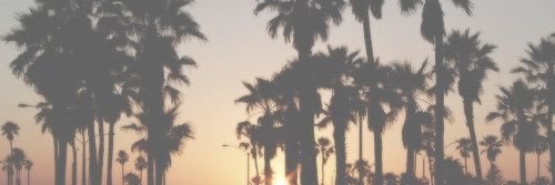 LizzeeRoberts's profile banner image