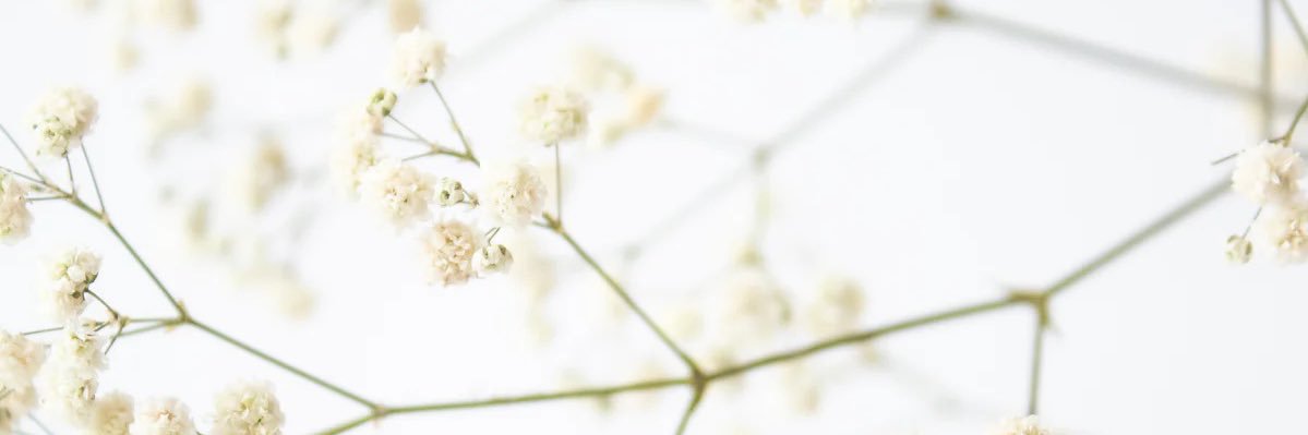 mandy_tk's profile banner image
