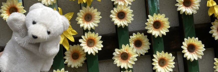 pattuntarou's profile banner image