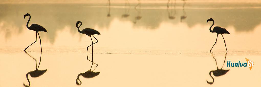 Huelva Sí banner