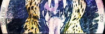 Edip Özkaşlı banner