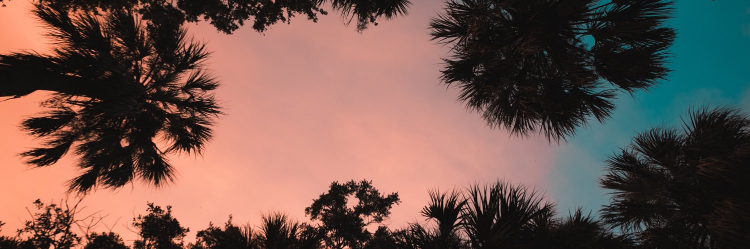 XANNYLII's profile banner image