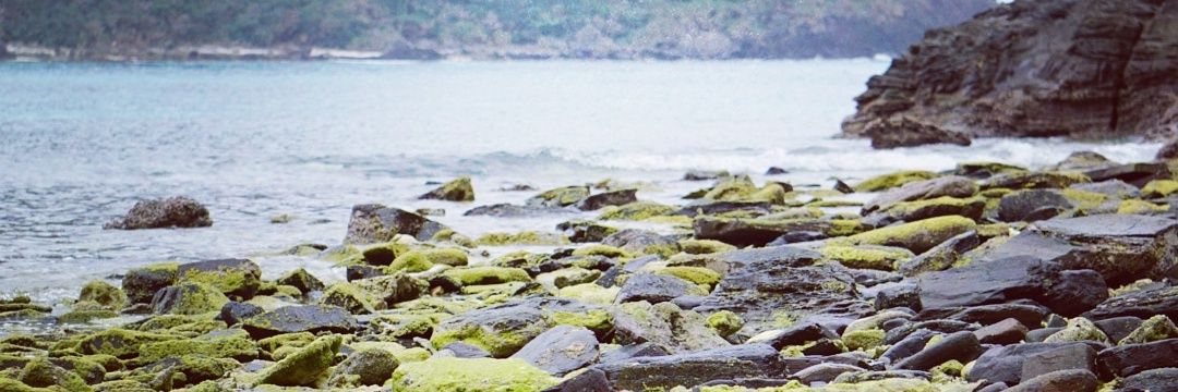 SusSloth's profile banner image
