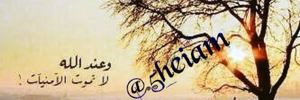 5Heiam's profile banner image