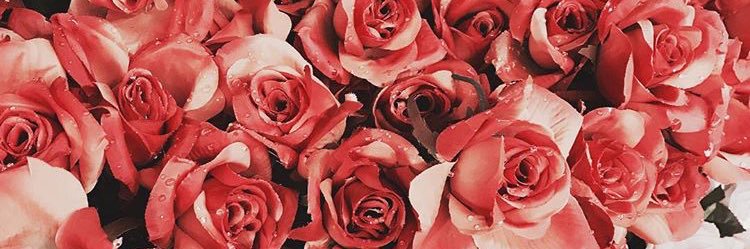 TheRealCourt_'s profile banner image