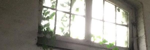 manuelavanwerde Profile Banner