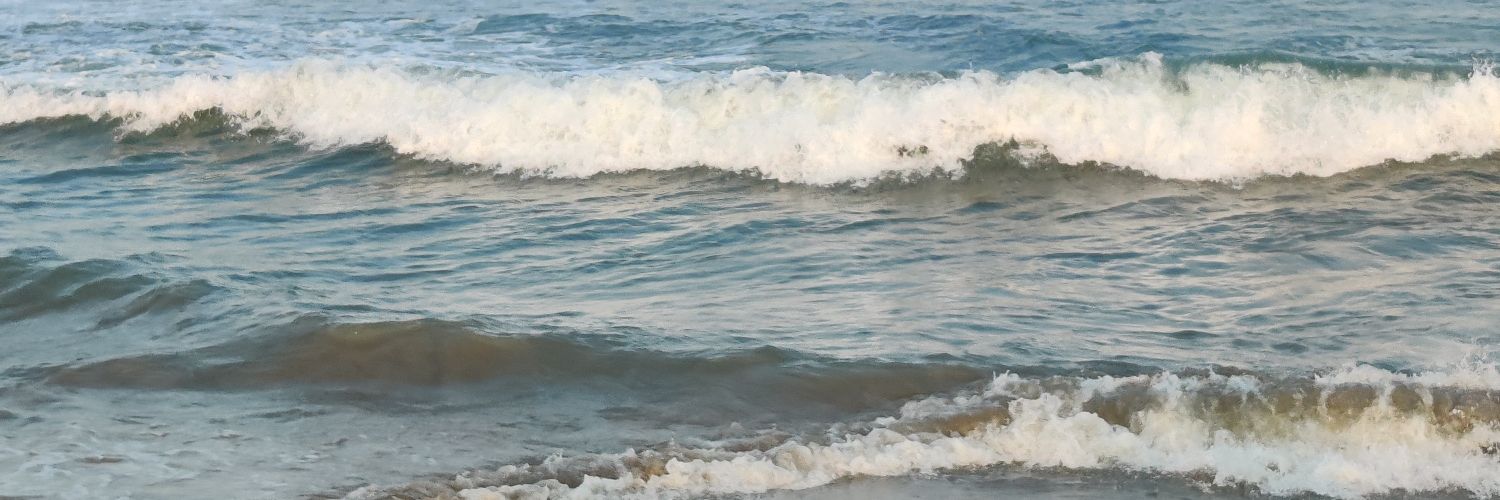 jeevaxy's profile banner image
